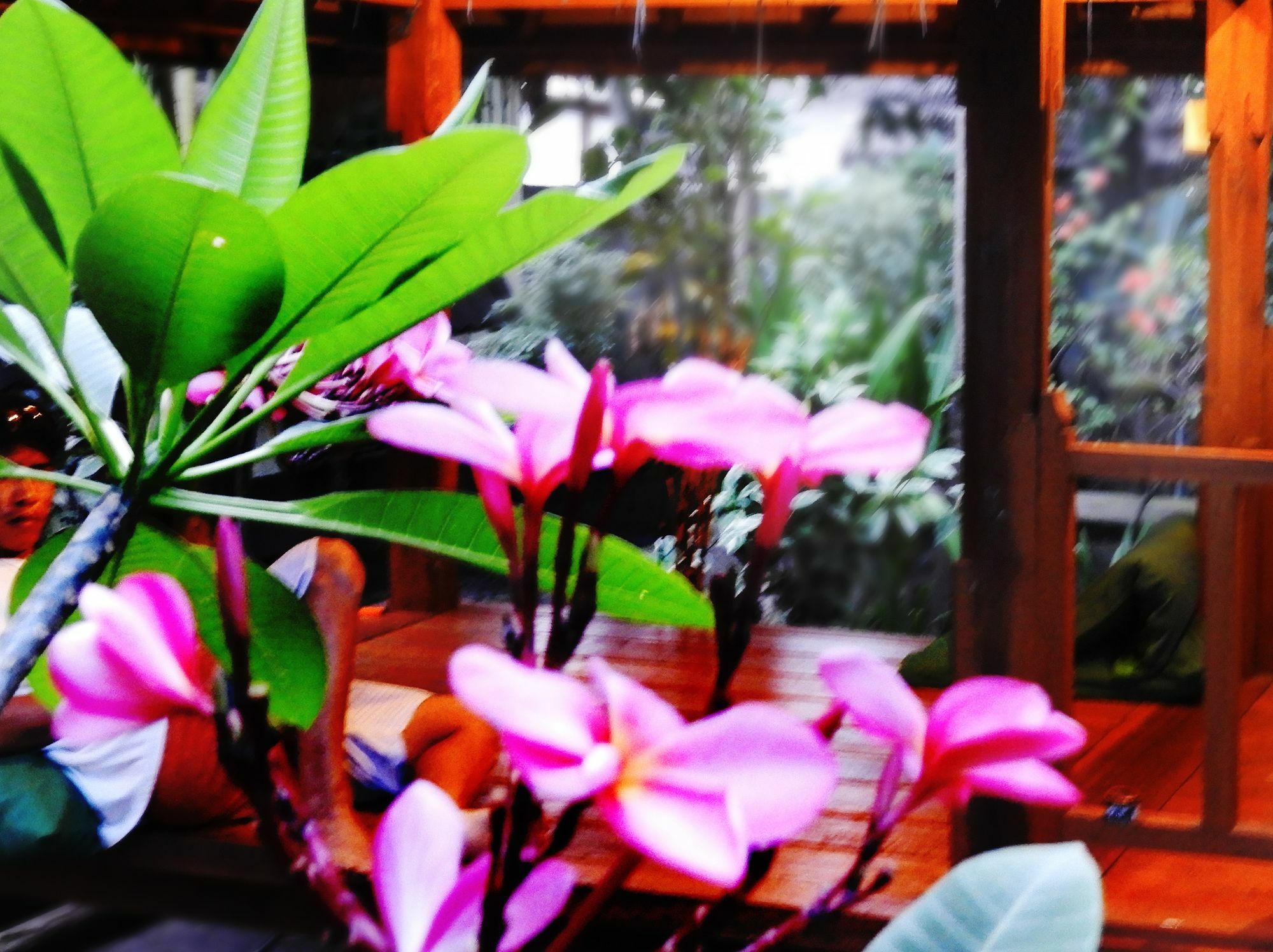 Toro Toro Bungalow Gili Air Kültér fotó